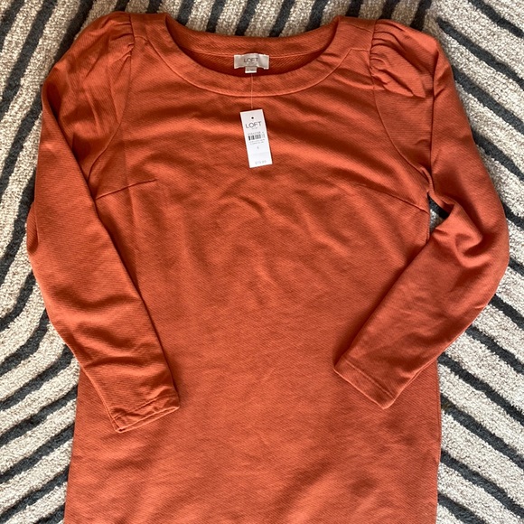 Loft Rust Orange Shift Cotton Dress - Picture 4 of 8